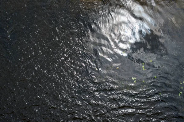 Water Surface Ripples Water Plants — Stock Photo, Image