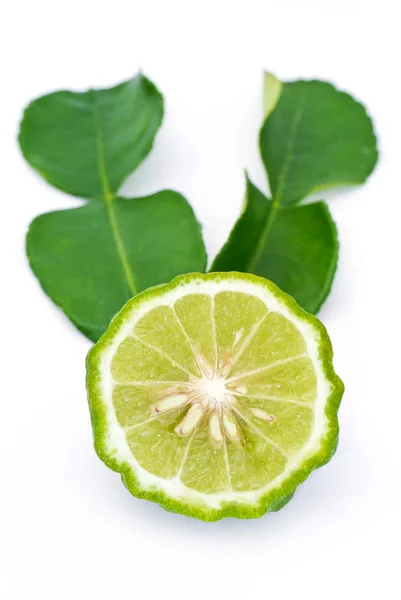 Kaffer Lime Vit Bakgrund — Stockfoto