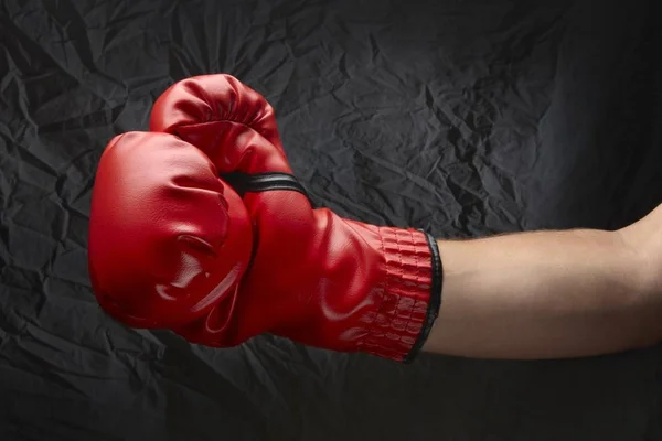 Boxer Hlavě Červenou Boxerskou Rukavici — Stock fotografie