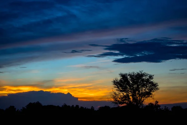 Tramonto Crepuscolo Con Albero Silhouette Somdet Kalasin Thailandia — Foto Stock