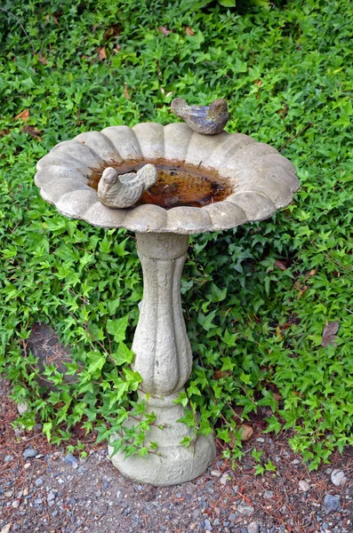 Jardim Birdbath Com Decorações Pássaro Pedra — Fotografia de Stock
