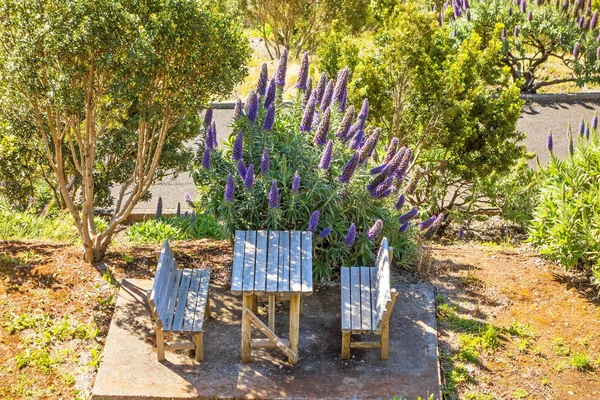 Bench Seat Table Picnic Wildness Island Madeira Pride Madeira Flower — Stock Photo, Image