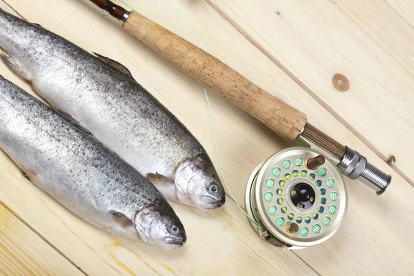 Aparejo Pesca Pesca Con Mosca Caña Pescar Carrete Pesca — Foto de Stock