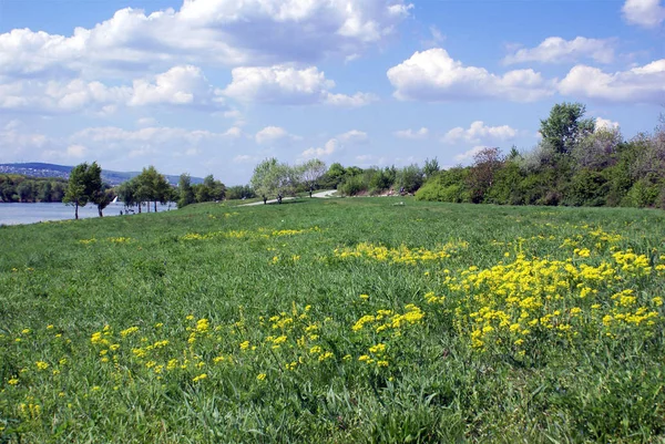 Pohled Slavný Dunajský Ostrov Donauinsel Vídni — Stock fotografie