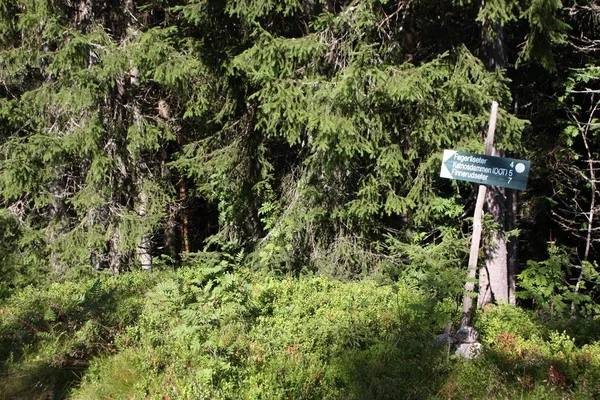 Señal Ruta Nordmarka Que Muestra Dirección Diferentes Destinos — Foto de Stock