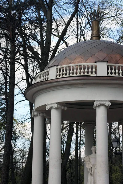 Arbour Kolonn Dome Staty Träd Våren Dag — Stockfoto