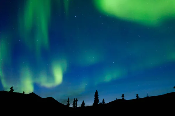 在加拿大育空地区 北极光或极地灯的移动乐队在夜空中舞动着北方森林泰加云杉树 — 图库照片