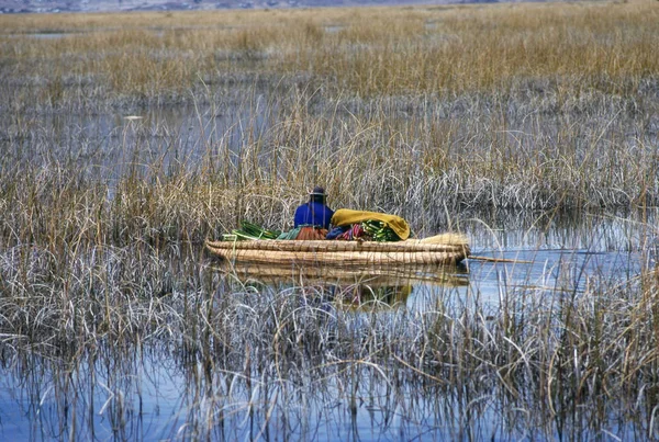 Lago Titicaca Perù — Foto Stock