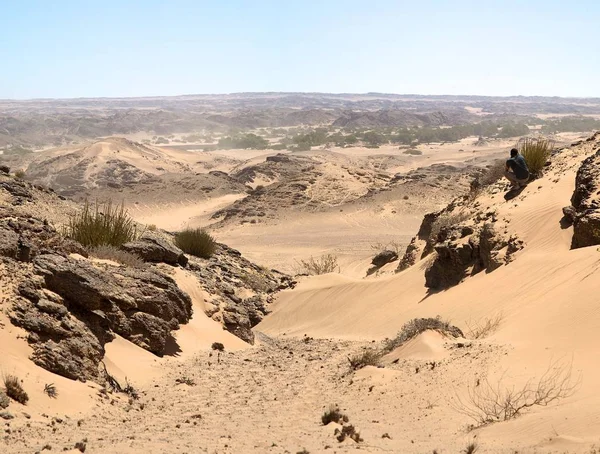 Deserto Areia Branca Costa Esqueleto — Fotografia de Stock