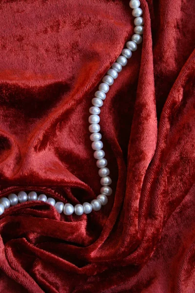 背景としてテラコッタ ベルベットの白い真珠のネックレス — ストック写真