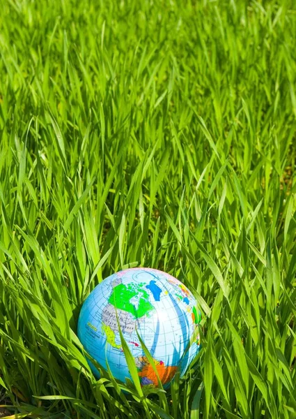 Земной Шар Размещен Зеленой Траве — стоковое фото