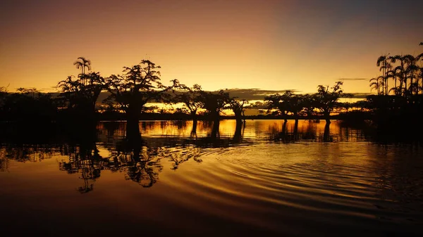 Solnedgång Cuyabeno Lagoon Ecuadorianska Amazonas — Stockfoto
