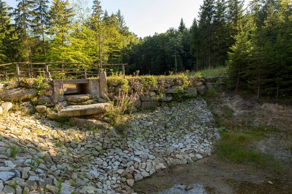 Staw Lesie Latem Tło Natura Krajobraz — Zdjęcie stockowe