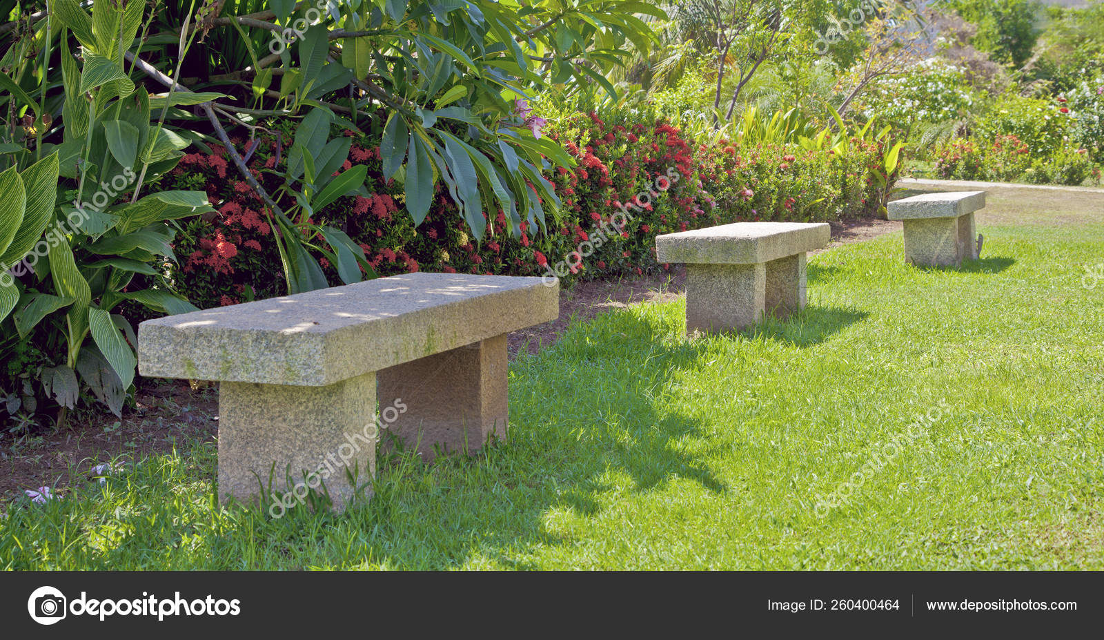 Horizontal Color Landscape Taken Tropical Garden Pondicherry India