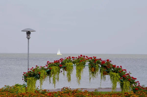 花儿在湖边的花园公园里绽放 远处的帆船 — 图库照片