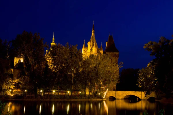 Castillo Vajdahunjad Budapest Por Noche —  Fotos de Stock