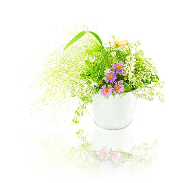 Bahar Taze Kır Çiçekleri Beyaz Zemin Üzerine Izole Kova — Stok fotoğraf