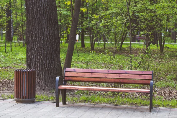 Trä Parkbänk Park Vacker Sommardag — Stockfoto