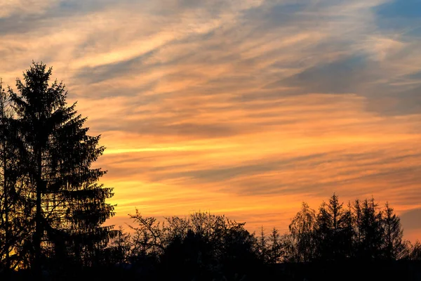 Wiosna Zachód Słońca Nad Sylwetka Drzewa Pomarańczowe Niebo Chmury Szlak — Zdjęcie stockowe