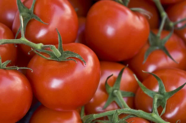 Muitos Tomates Vermelhos Frescos Com Dof Raso — Fotografia de Stock