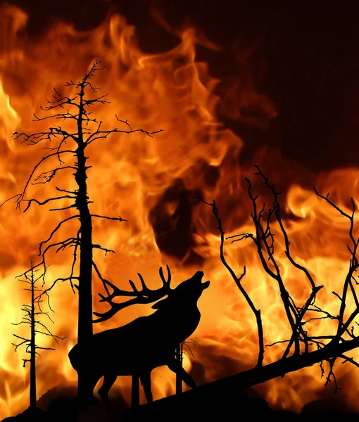 Vector Illustration Deer Running Away Fire Wood — Stock Photo, Image