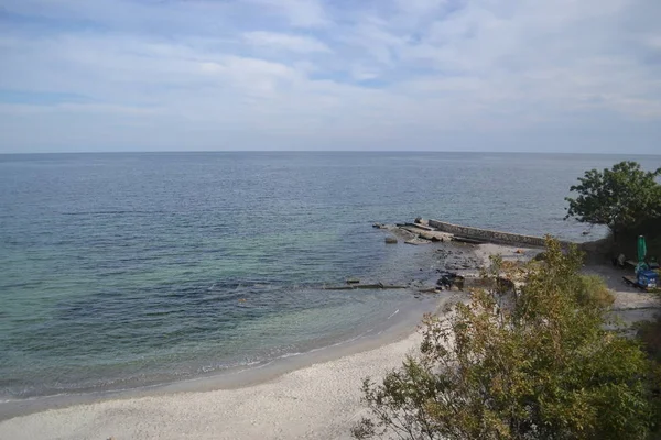 Fekete Tengeri Strand Fákkal — Stock Fotó