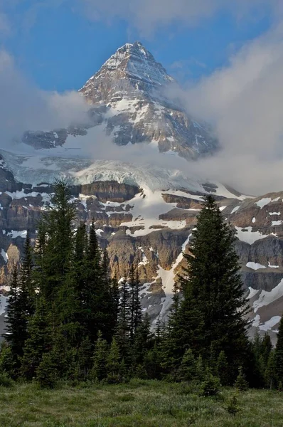 Гора Ассінібойн Деревами Ранковими Хмарами Скелястих Горах Канади — стокове фото
