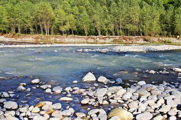 Mountain River Rapid Current Forest Summer — Stock Photo, Image