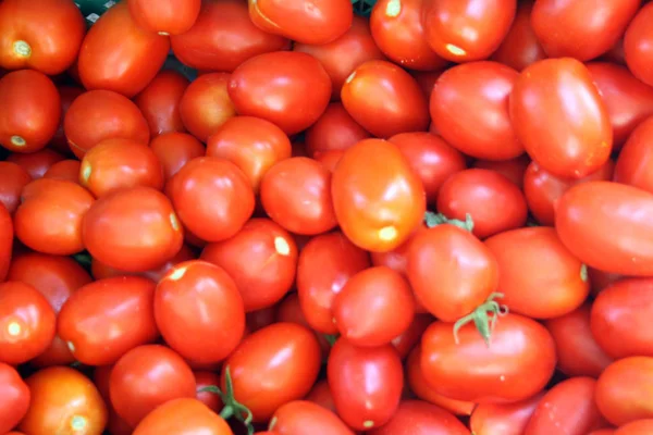 Tonnes Tomates Maltaises Vendre — Photo