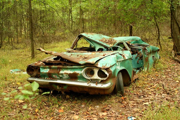 森の中の廃車 — ストック写真