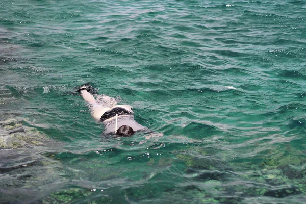 Fotografin Taucht Ins Wasser Des Roten Meeres — Stockfoto