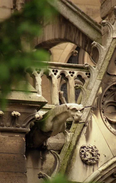 Dettaglio Tubo Scarico Gargoyle Sul Lato Della Cattedrale Gotica — Foto Stock