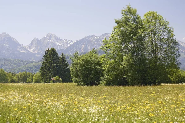 Hermoso Panorama Los Alpes Alemania — Foto de Stock