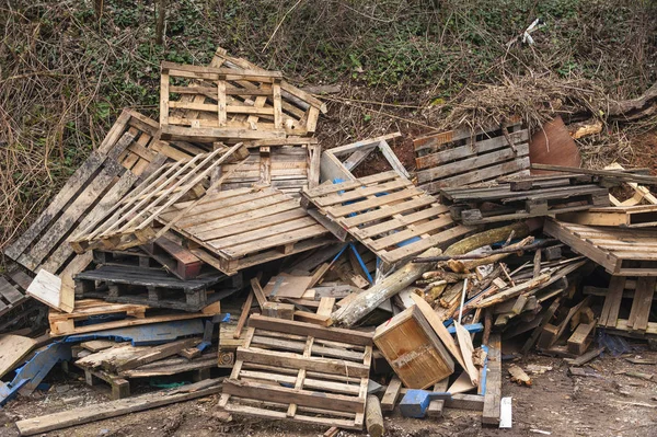 Ribaltamento Mosca Dei Rifiuti Legno — Foto Stock