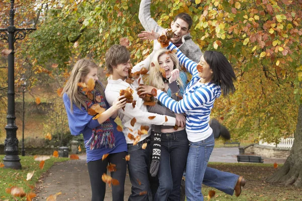 秋の風景の中に葉を投げ 代の友人のグループ — ストック写真