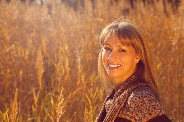 Jonge Mooie Herfst Vrouw Verlicht Door Zon — Stockfoto