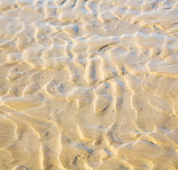 Марокко Африці Коричневе Узбережжя Лінія Мокрий Піщаний Пляж Біля Атлантичного — стокове фото