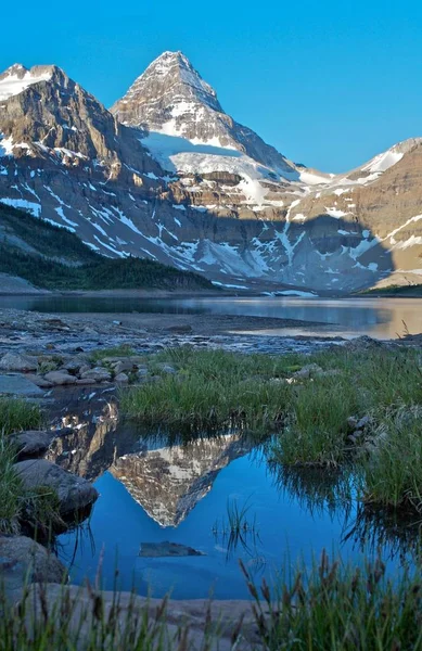 Majestic Hegy Assinniboine Tükröződik Magog Sziklás Hegység British Columbia Kanada — Stock Fotó