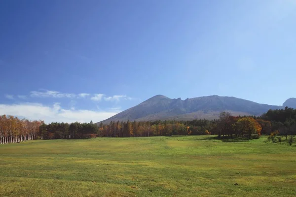 Hojas Coloridas Monte Iwate — Foto de Stock