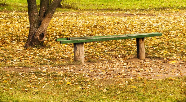 Den Gamla Trasiga Bänken Ligger Ett Träd Hösten — Stockfoto