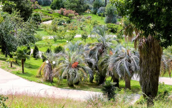 さまざまなトラックに沿って美しい熱帯植物と樹木園の一部のトップ ビュー — ストック写真