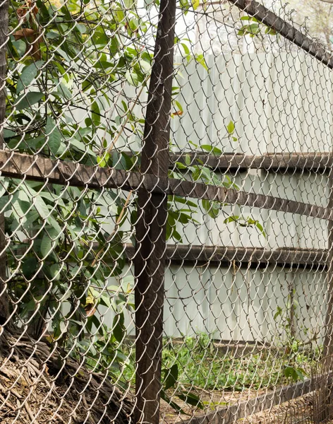 Photo Couleur Fenêtre Ligne Chaîne Également Désignée Réseau Fils Fenêtre — Photo