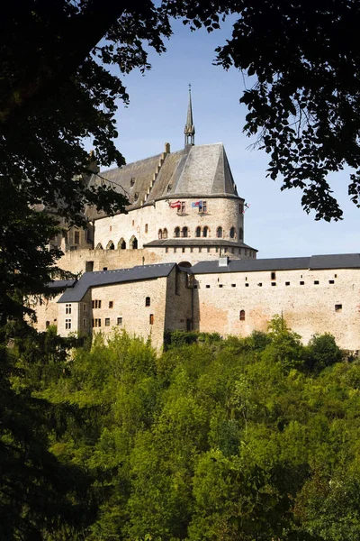 Vianden Castello Medievale Sulla Montagna Lussemburgo Letzebuerg Vista Attraverso Gli — Foto Stock