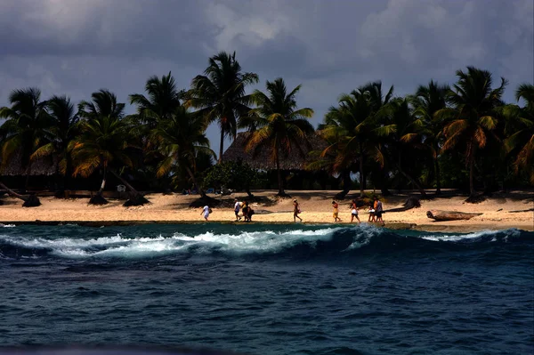 Океанське Узбережжя Будинок Пальма Дерево Республіці Домінікана — стокове фото