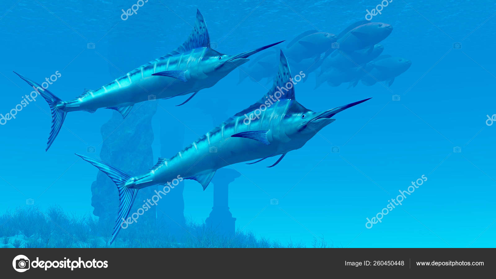 매끄러운 말린스는 물고기의 가까운 — 스톡 사진 © YAYImages #260450448, image size:1600x900