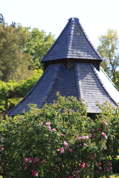 Gros Plan Belvédère Blanc Dans Jardin — Photo