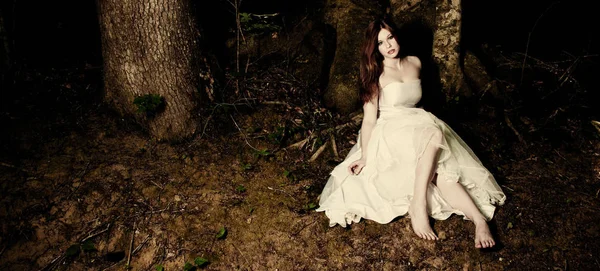 Bride Sitting Tree Dark Woods — Stock Photo, Image
