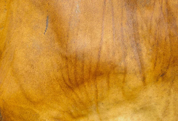 Texture Skin Brown Cow — Stock Photo, Image