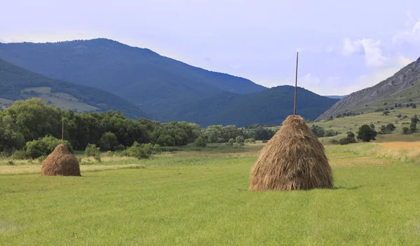 Paesaggio Rurale Con Due Fienili Campo Ubicazione Transilvania Romania — Foto Stock