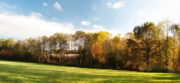 Panoramablick Auf Einen Ländlichen Wald Herbst — Stockfoto